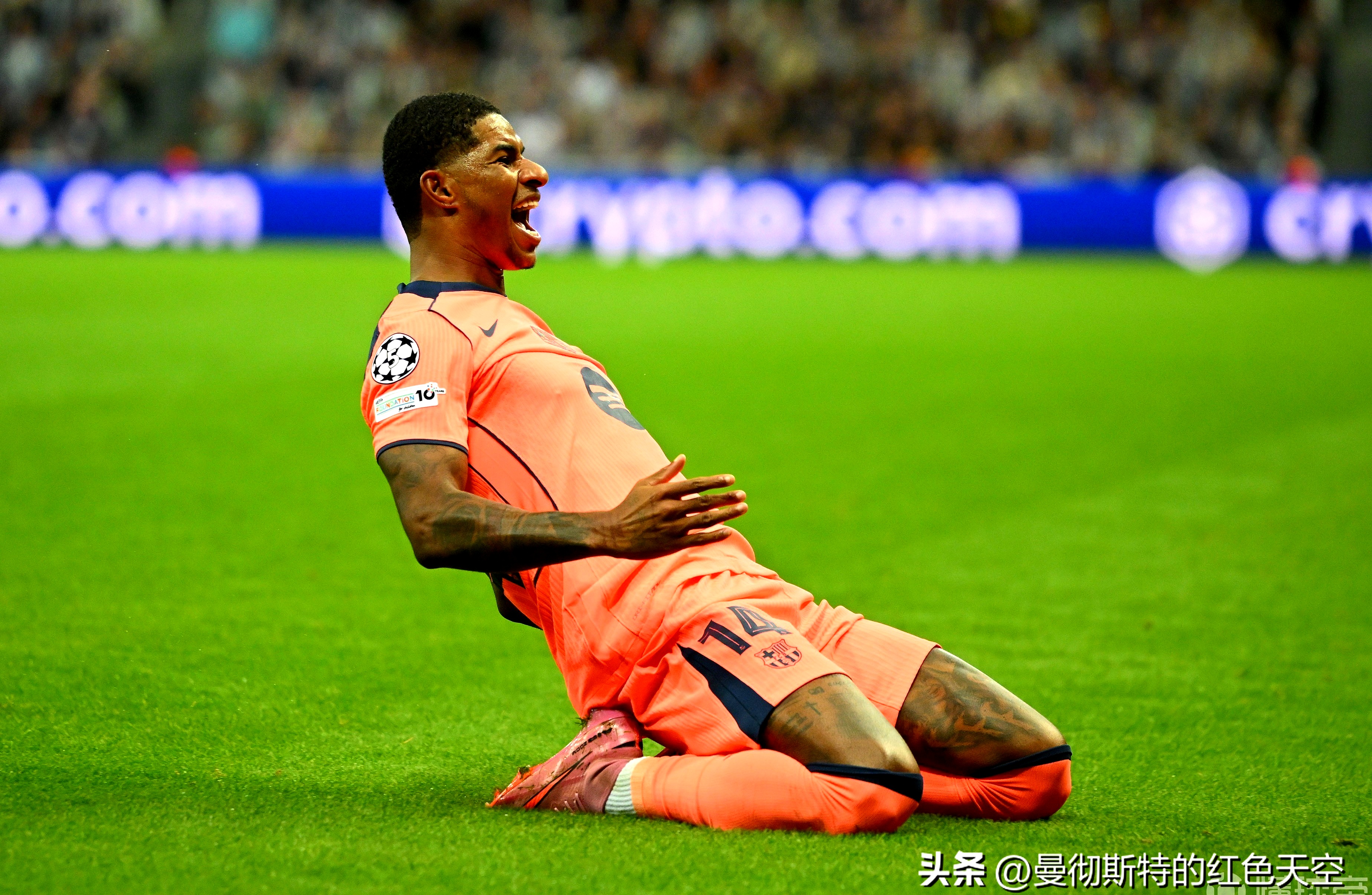 菲尼克斯太阳球员合同最新